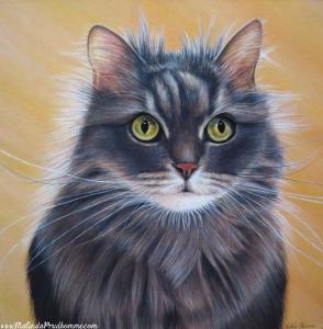 Custom Cat Portrait Grigia
